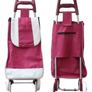 CARRITO PARA MANDADO-CARRO