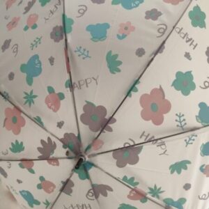 PARAGUAS TRANSPARENTE-SOMBRILLA