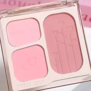 PALETA DE RUBOR EN TONOS ROSAS 