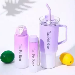 BOTELLAS REUTILIZABLES LILA