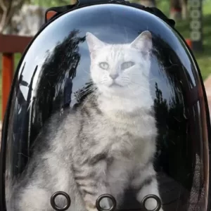 MOCHILA TRANSPORTADORA TRANSPARENTE PARA MASCOTA