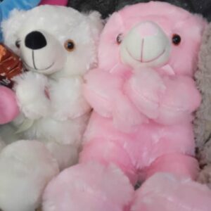 OSO DE PELUCHE